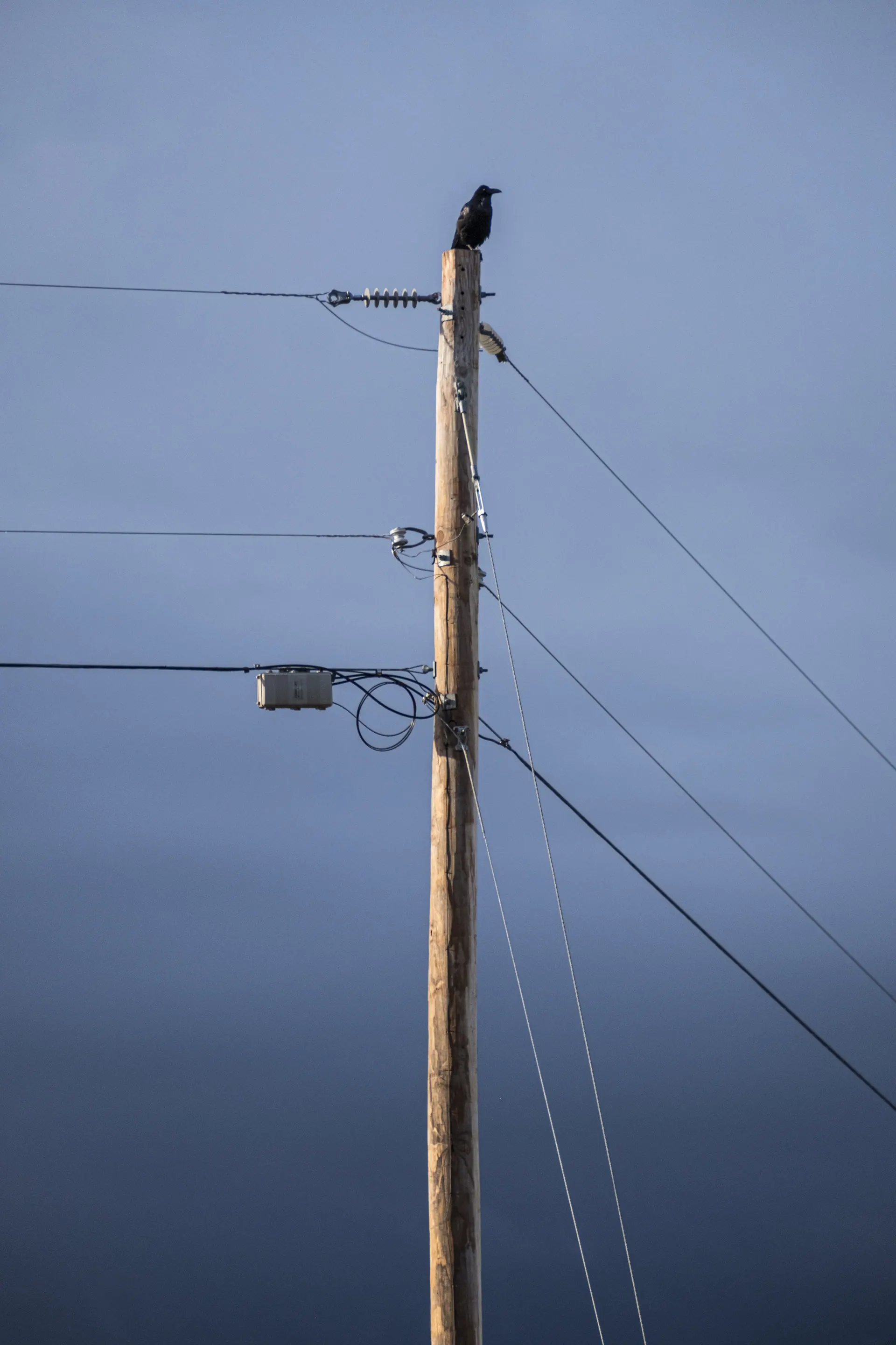 Aerial fiber on utility pole
